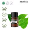 Betel (Forest) / Sirih Hutan Essential Oil Pure 100%, 2-10ML GS