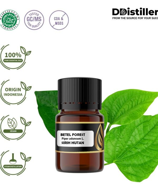 Betel (Forest) / Sirih Hutan Essential Oil Pure 100%, 2-10ML GS