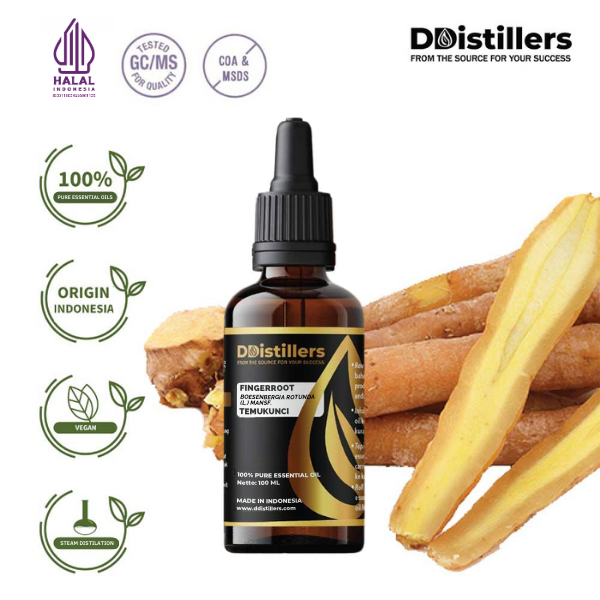 Fingerroot / Temukunci Essential Oil Pure 100%, 50-100ML GS