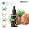 9edc6740bd614f79b735787f06866eab.png Pine / Pinus Essential Oil Pure 100%, 50-100ML GS