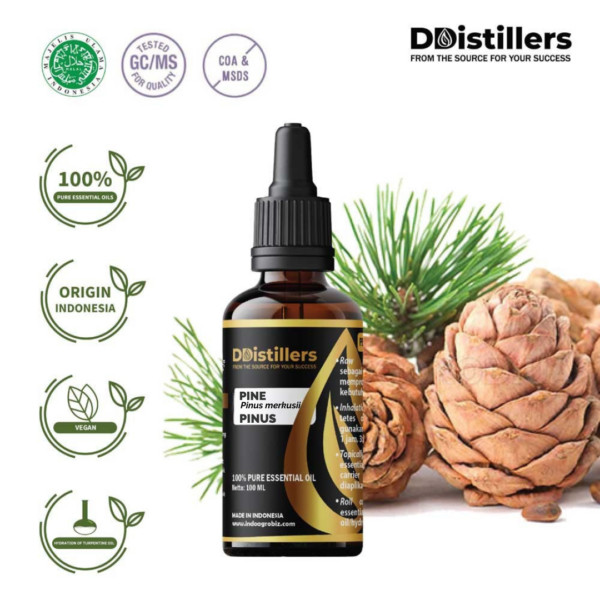 9edc6740bd614f79b735787f06866eab.png Pine / Pinus Essential Oil Pure 100%, 50-100ML GS