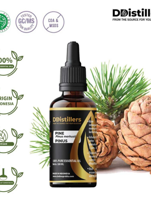 Pine / Pinus Essential Oil Pure 100%, 50-100ML GS