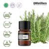 9ef9ec19124b4656a6655a16510f59a4.jpg Rosemary / Rosemari Essential Oil Pure 100%, 2-10ML GS