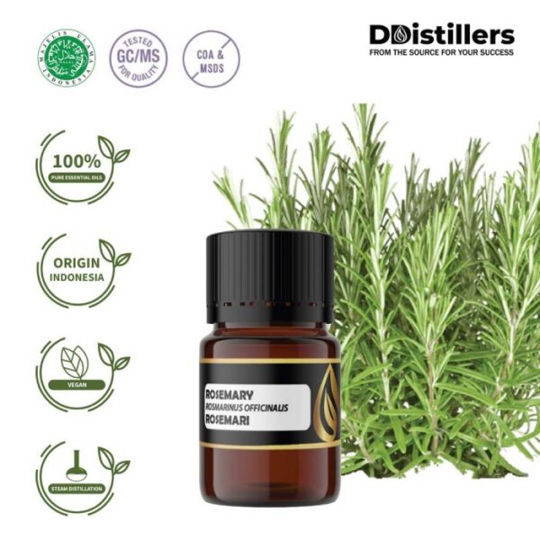 9ef9ec19124b4656a6655a16510f59a4.jpg Rosemary / Rosemari Essential Oil Pure 100%, 2-10ML GS