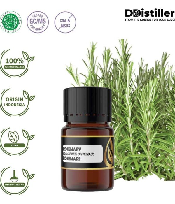 Rosemary / Rosemari Essential Oil Pure 100%, 2-10ML GS