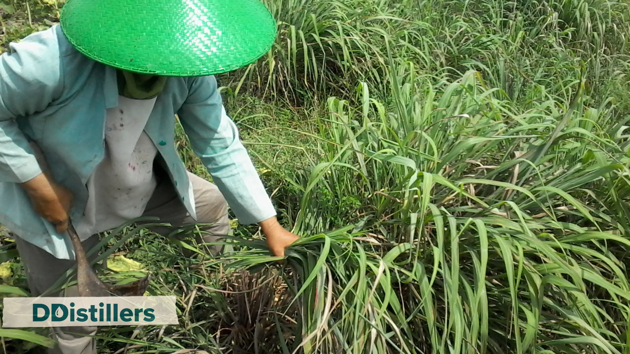 Petani Penyuling