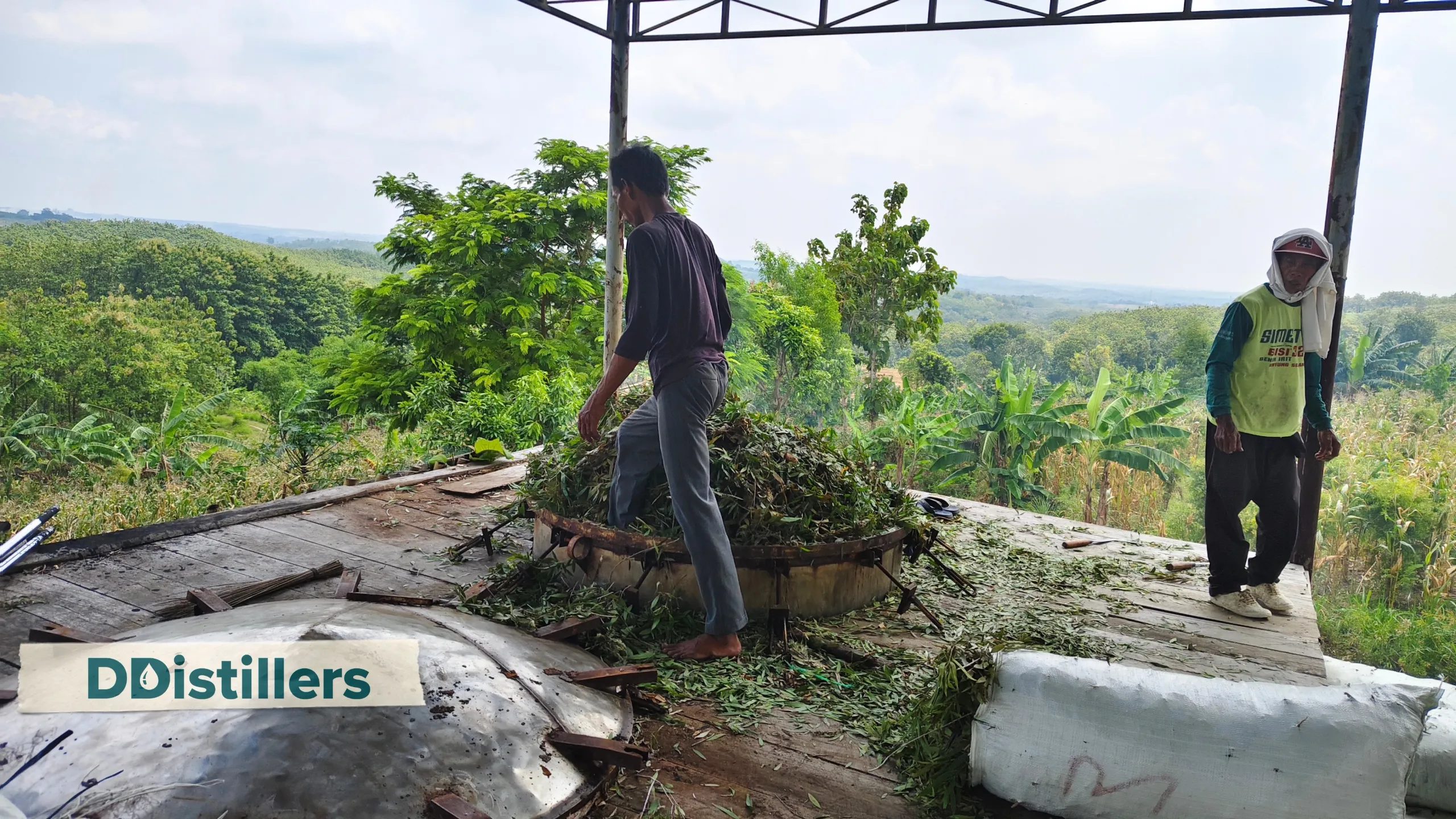 PETANI ATSIRI