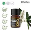 Cajuput (Java) / Kayu Putih Jawa Essential Oil Pure 100%, 2-10ML GS
