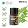 Tagetes Marigold / Kenikir Hias / Bunga Marigold Essential Oil Pure 100%, 2-10ML GS