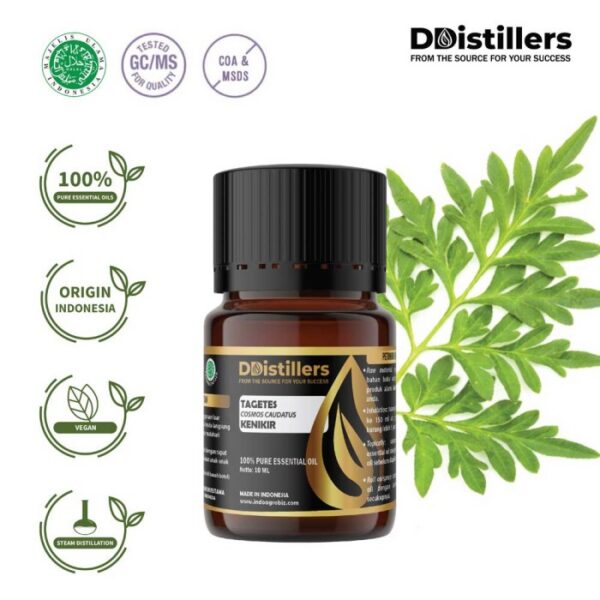 Tagetes Marigold / Kenikir Hias / Bunga Marigold Essential Oil Pure 100%, 2-10ML GS