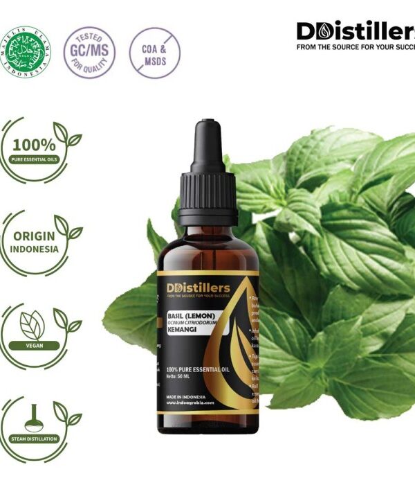 Basil (Lemon) / Kemangi Essential Oil Pure 100%, 50-100ML GS