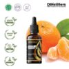Tangerine / Jeruk Mandarin Essential Oil Pure 100%, 50-100ML GS