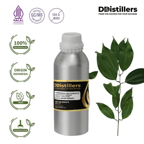 Cinnamon Leaf Korintje / Daun Kayu Manis Kerinci Essential Oil Pure 100%, 500ML-1L HDPE/SS