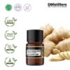 a242317588874c6a9ae813523f63580e.jpg Ginger (Small SCFE) / Jahe Emprit Essential Oil Pure 100%, 2-10ML GS