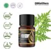 Tagetes Marigold / Kenikir Hias / Bunga Marigold Essential Oil Pure 100%, 2-10ML GS