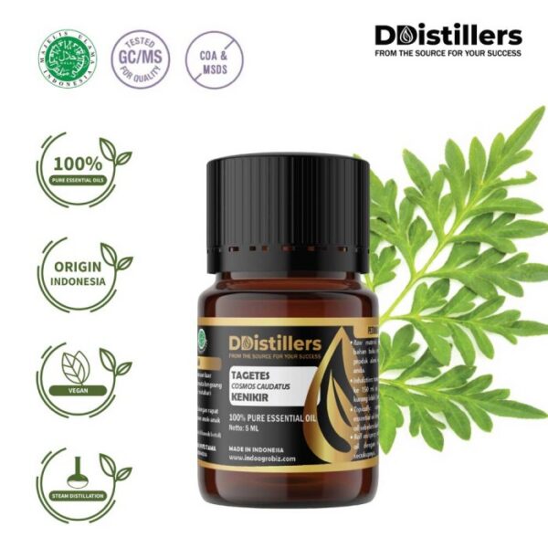 Tagetes Marigold / Kenikir Hias / Bunga Marigold Essential Oil Pure 100%, 2-10ML GS