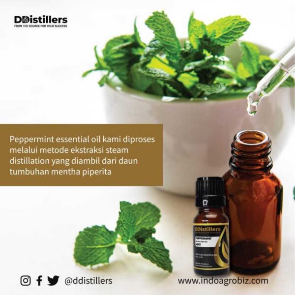 Peppermint Essential Oil 100 % Pure Volume 5 ml