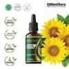 Sunflower / Bunga Matahari Carrier Oil Pure 100%, 50-100ML GS