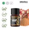 a563e6bf32c34df0bacf1b3b705fcd22.jpg Lajagowah / Lengkuas Hutan Essential Oil Pure 100%, 2-10ML GS