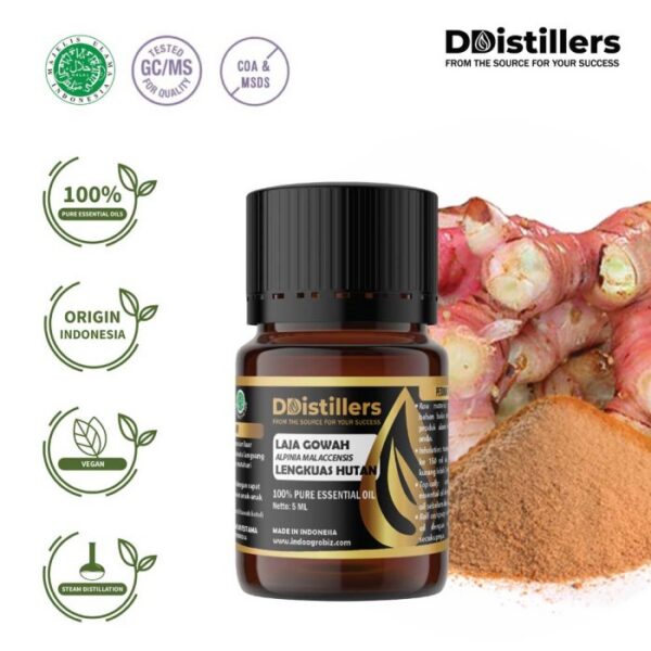 a563e6bf32c34df0bacf1b3b705fcd22.jpg Lajagowah / Lengkuas Hutan Essential Oil Pure 100%, 2-10ML GS