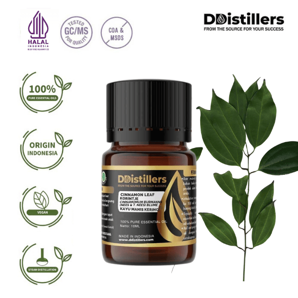 Cinnamon Leaf Korintje / Daun Kayu Manis Kerinci Essential Oil Pure 100%, 2-10ML GS