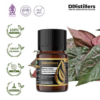 Betel (Red) / Sirih Merah Essential Oil Pure 100%, 2-10ML GS
