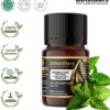 Patchouli (Java Iron Free) / Nilam Jawa Essential Oil Pure 100%, 2-10ML GS