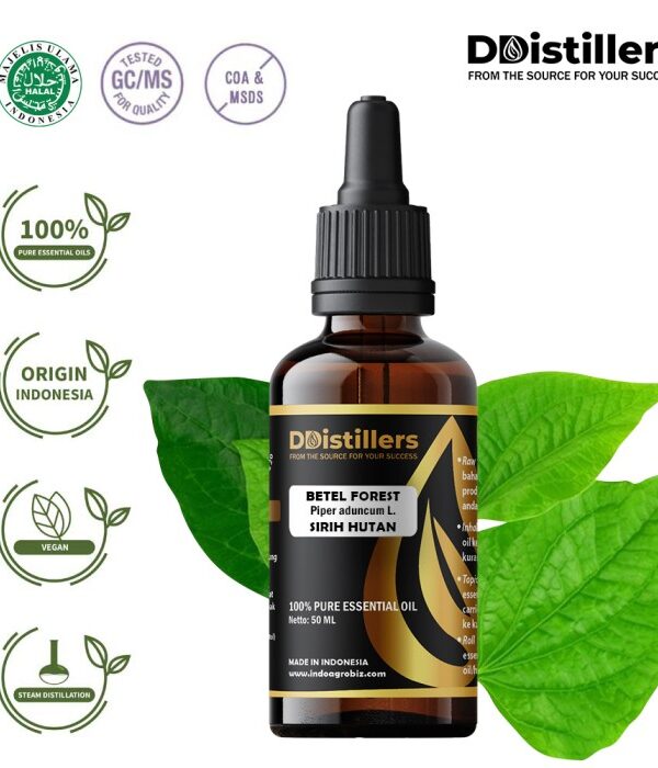Betel (Forest) / Sirih Hutan Essential Oil Pure 100%, 50-100ML GS