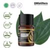Pepper (White) Leaf / Daun Lada Putih Essential Oil Pure 100%, 2-10ML GS