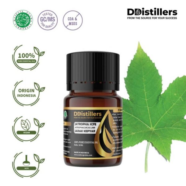 Jatropha SCFE / Jarak Kepyar Essential Oil Pure 100%, 2-10ML GS