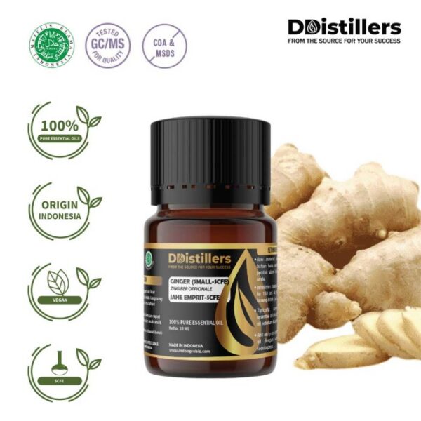 ad57d480200643c4b812154955a08bfb.jpg Ginger (Small SCFE) / Jahe Emprit Essential Oil Pure 100%, 2-10ML GS