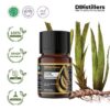 Calamus / Sweet Flag / Jerangau / Dlingo Essential Oil Pure 100%, 2-10ML GS