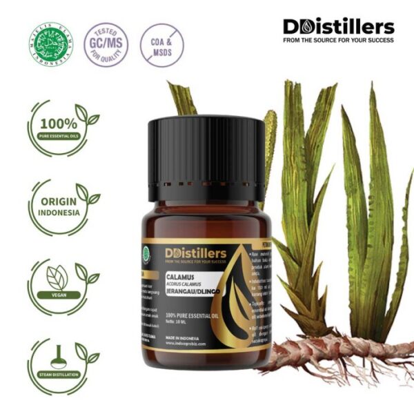 ad7e5fd2bc364dafbb8ae5db975ea637.jpg Calamus / Sweet Flag / Jerangau / Dlingo Essential Oil Pure 100%, 2-10ML GS