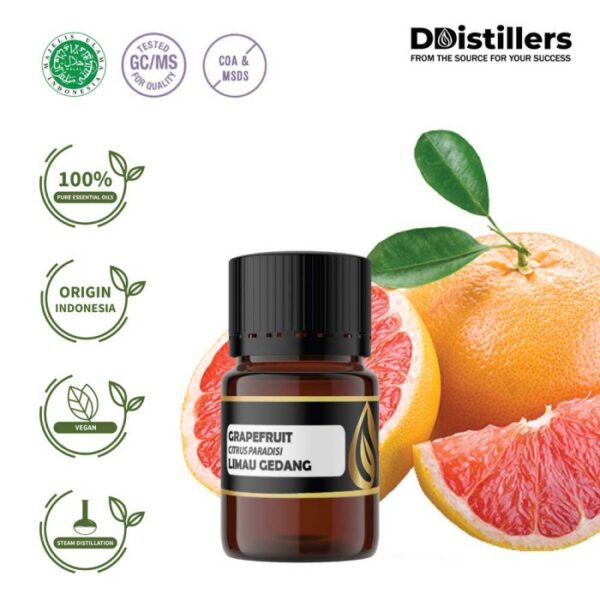Grapefruit / Limau Gedang Essential Oil Pure 100%, 2-10ML GS