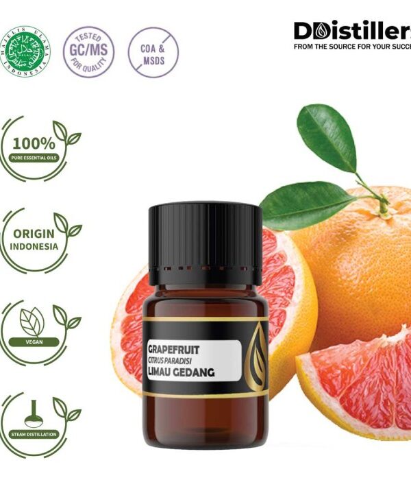 Grapefruit / Limau Gedang Essential Oil Pure 100%, 2-10ML GS