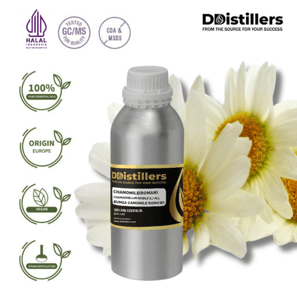 Chamomile (Roman) / Bunga Camomile Romawi Essential Oil Pure 100%, 500ML-1L HDPE/SS