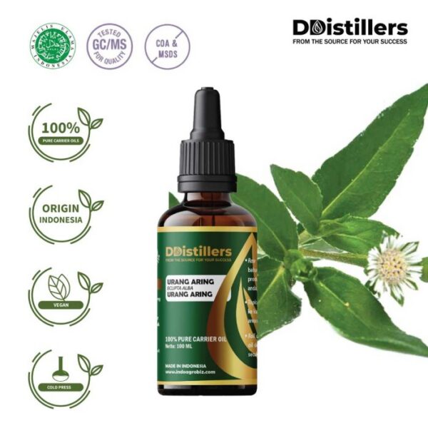 Urang Aring / Urang Aring Carrier Oil Pure 100%, 50-100ML GS