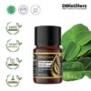 Kaffir Lime Leaf / Daun Jeruk Purut Essential Oil Pure 100%, 2-10ML GS