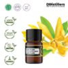 Ylang-Ylang / Kenanga Essential Oil Pure 100%, 2-10ML GS