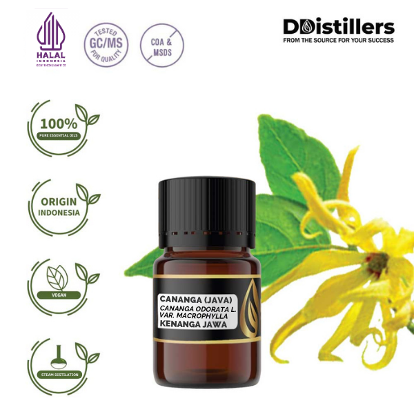 Cananga (Java) / Kenanga Jawa Essential Oil Pure 100%, 2-10ML GS