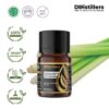 Citronella (Ceylon) / Sereh Wangi Aster Essential Oil Pure 100%, 2-10ML GS