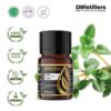 Thyme Common / Thyme / Throat Herb Essential Oil Pure 100%, 2-10ML GS