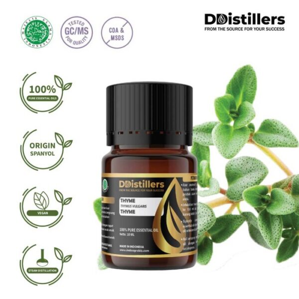 Thyme Common / Thyme / Throat Herb Essential Oil Pure 100%, 2-10ML GS