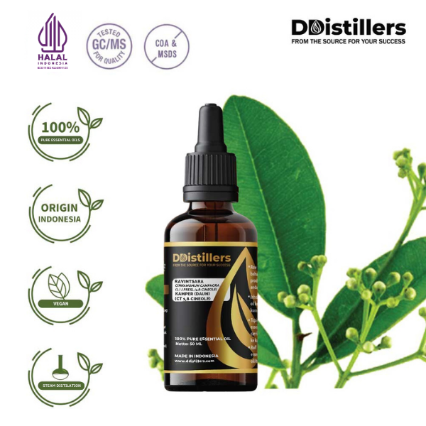 Ravintsara / Daun Kamper (CT 1,8-Cineol) Essential Oil Pure 100%, 50-100ML GS