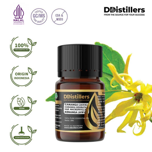 Cananga (Java) / Kenanga Jawa Essential Oil Pure 100%, 2-10ML GS