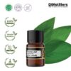 b59ddd66bbe14c9890f16a2a309a8bfd.jpg Turmeric Leaf / Daun Kunyit Essential Oil Pure 100%, 2-10ML GS