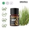 b5b228f7346c425ba48e03ca819c1515.jpg Vetiver (Dark) / Akar Wangi Gelap Essential Oil Pure 100%, 2-10ML GS