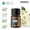 Neroli / Bunga Jeruk Essential Oil Pure 100%, 2-10ML GS