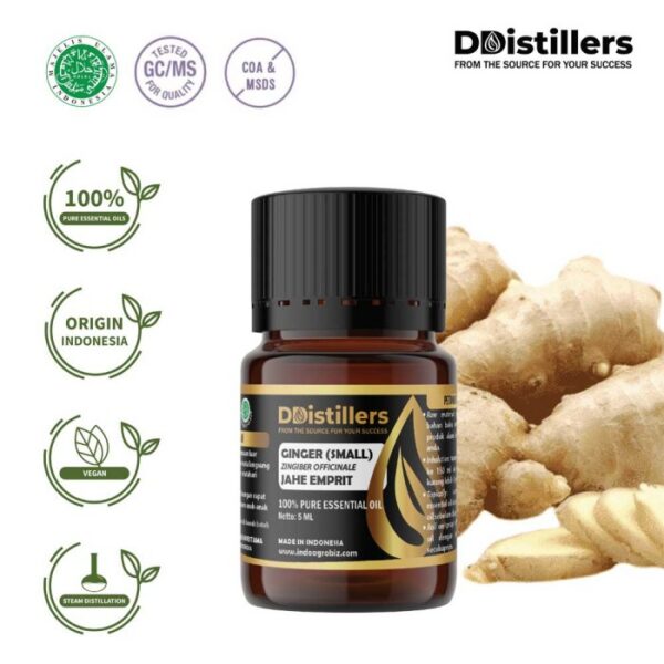 Ginger (Small) / Jahe Emprit Essential Oil Pure 100%, 2-10ML GS