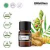Plai / Bangle Essential Oil Pure 100%, 2-10ML GS